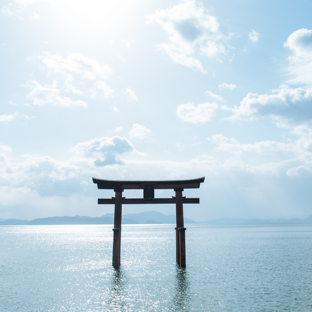 English language visual data 8